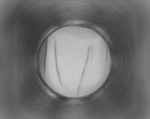 X0000081391186200702090030