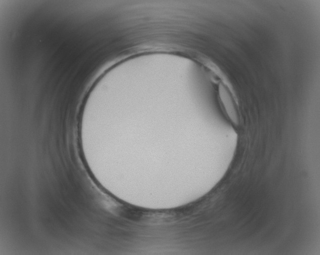 X0000081391187200702090030