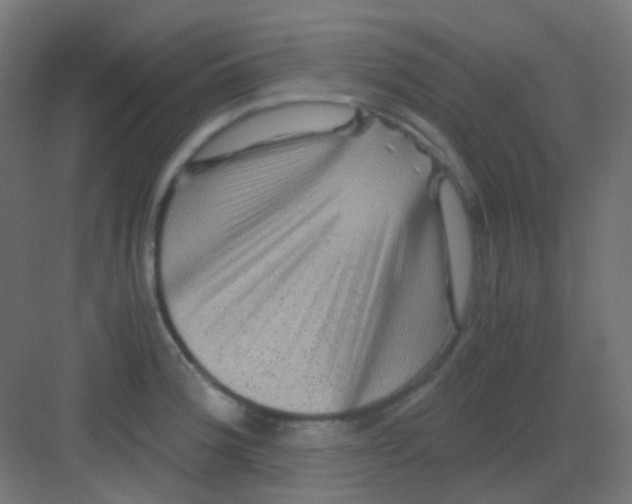 X0000081391188200702090030