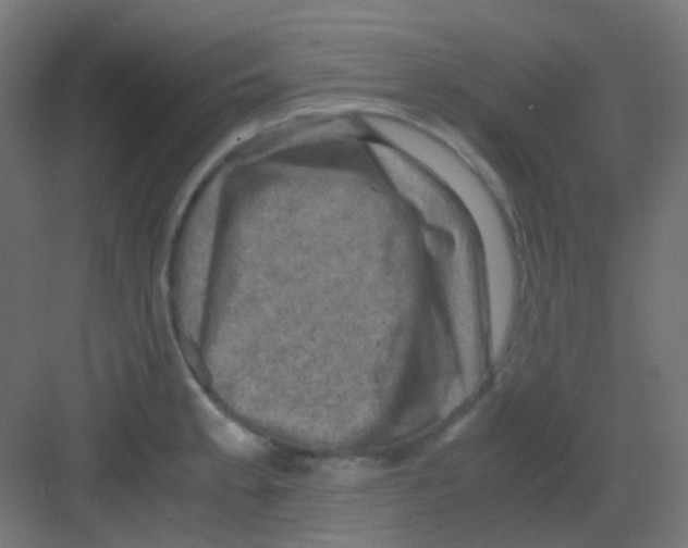 X0000081391189200702090030