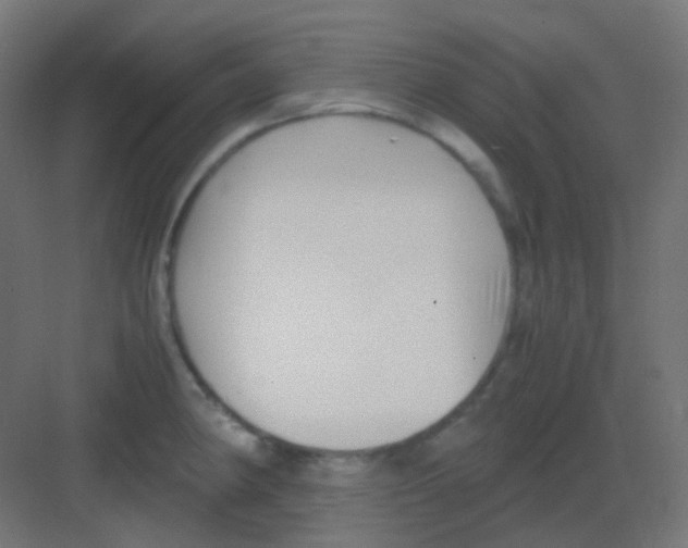 X0000081391190200702090030