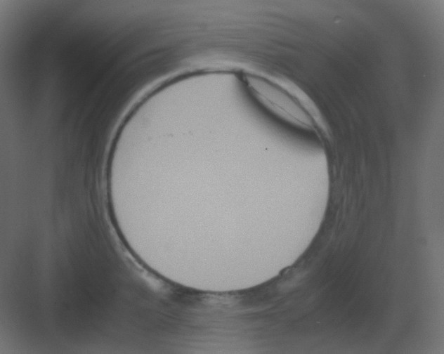 X0000081391191200702090030