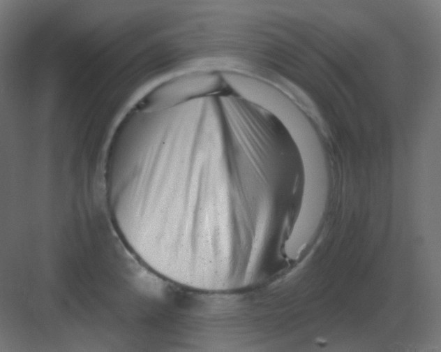 X0000081391192200702090030