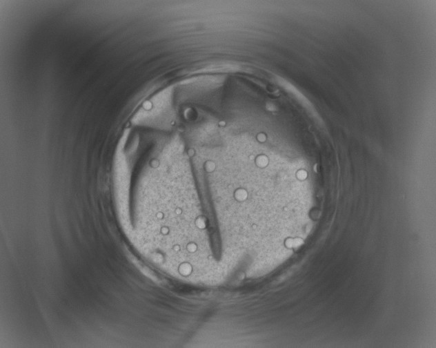 X0000081391193200702090030