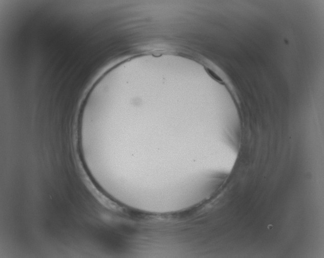 X0000081391195200702090030