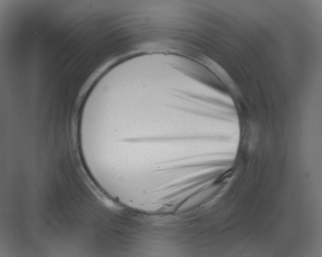 X0000081391196200702090030