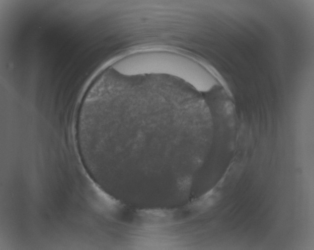 X0000081391197200702090030