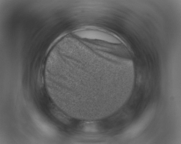 X0000081391198200702090030