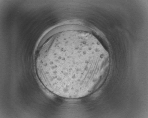 X0000081391200200702090030