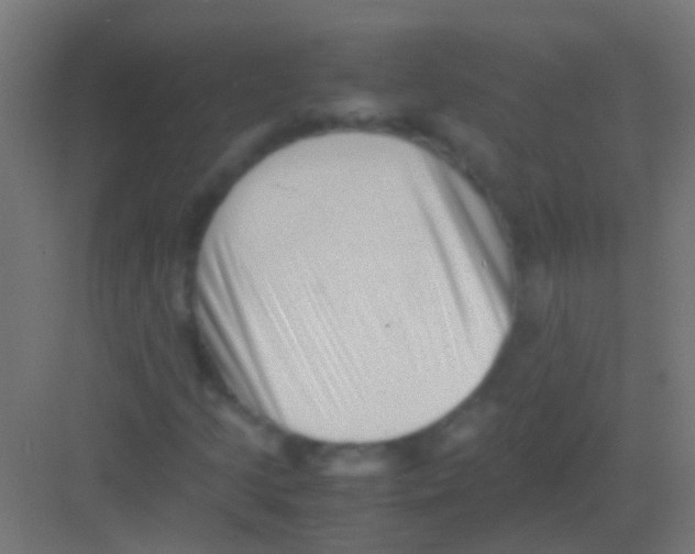 X0000081391205200702090029