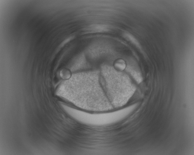 X0000081391210200702090029