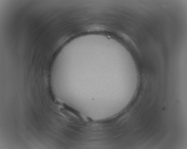 X0000081391217200702090029