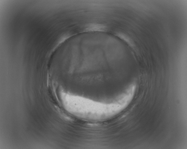 X0000081391219200702090029