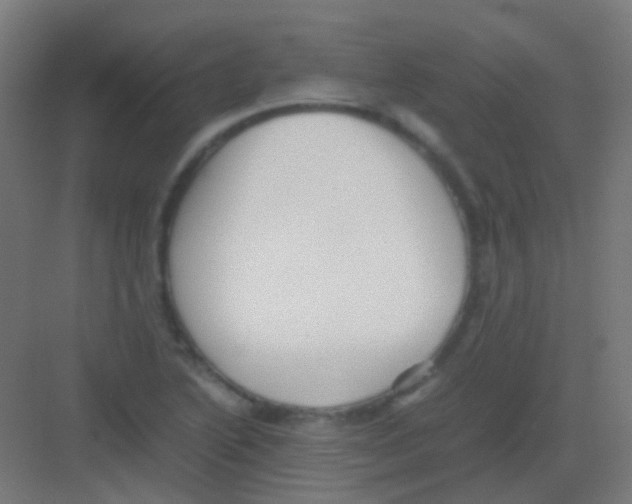 X0000081391222200702090029