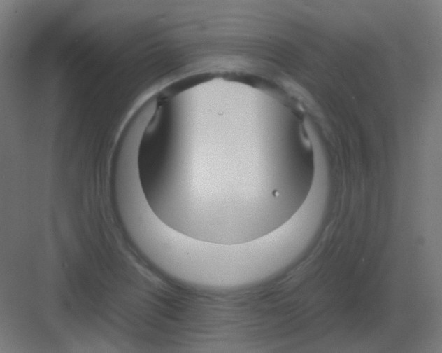 X0000081391226200702090029