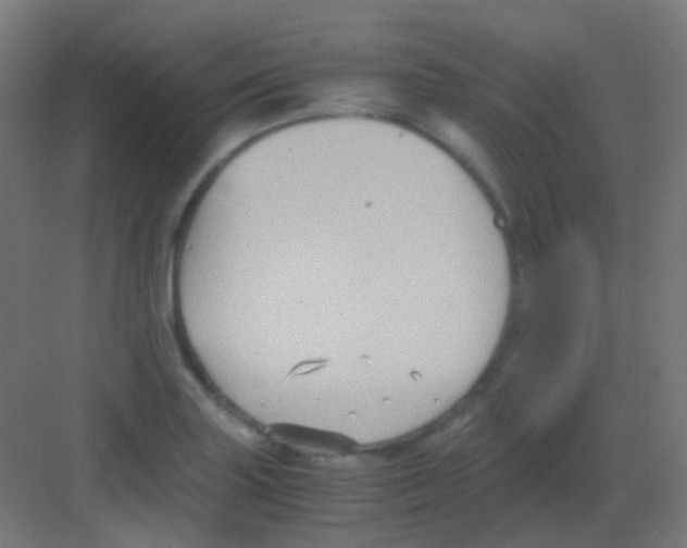 X0000081391227200702090029