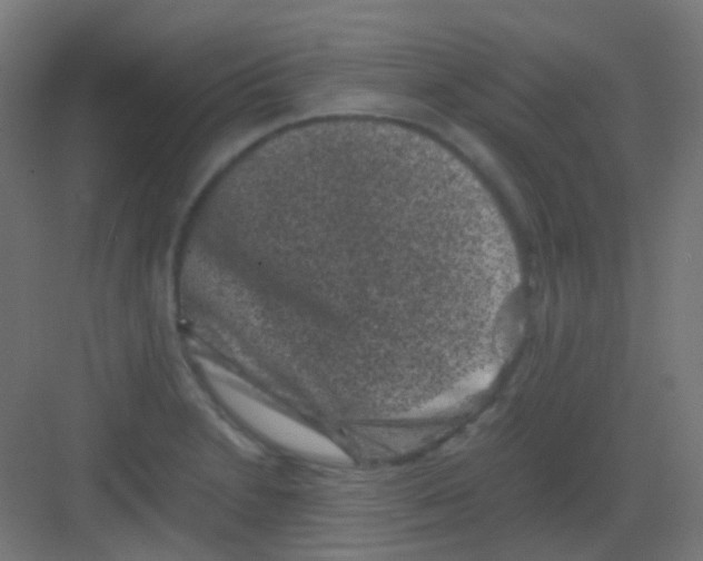 X0000081391230200702090029