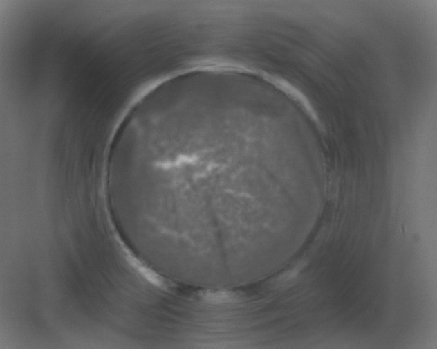 X0000081391231200702090029