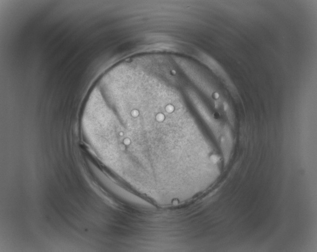 X0000081391234200702090029