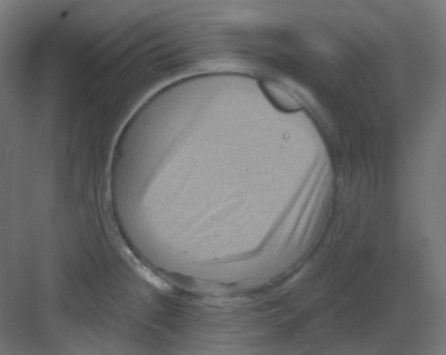 X0000081391236200702090029