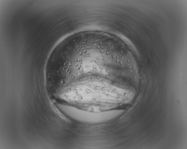 X0000081391238200702090029