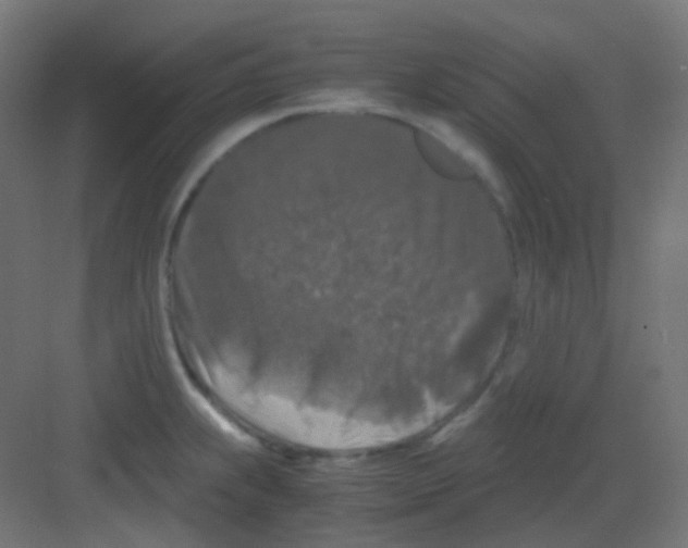 X0000081391239200702090029