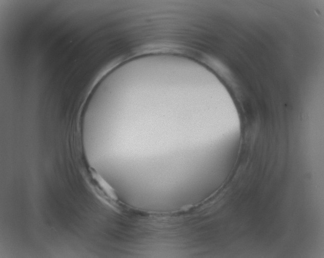 X0000081391242200702090029