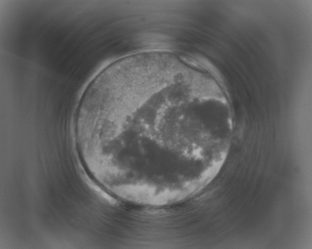 X0000081391243200702090029