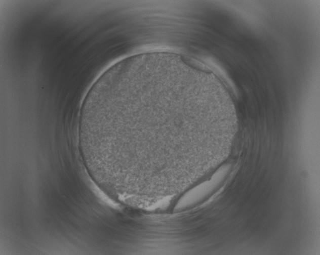 X0000081391244200702090030