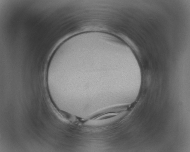 X0000081391246200702090030