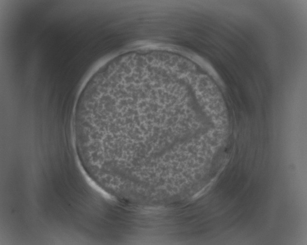 X0000081391247200702090030