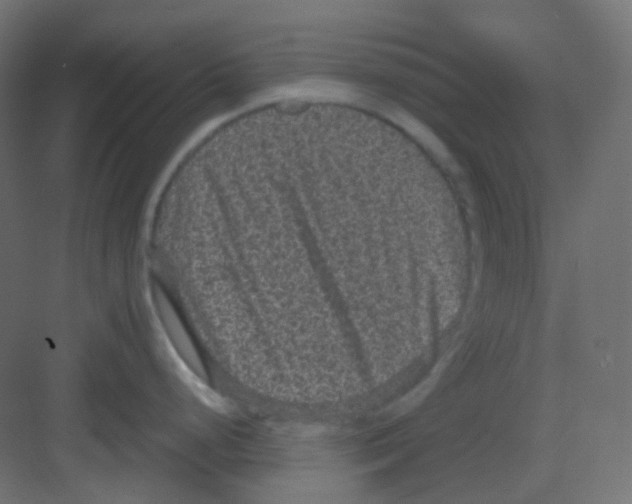 X0000081391248200702090030