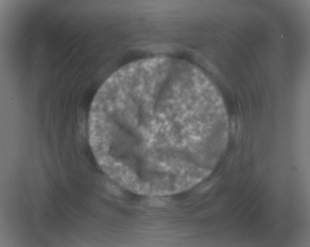 X0000081391251200702090029