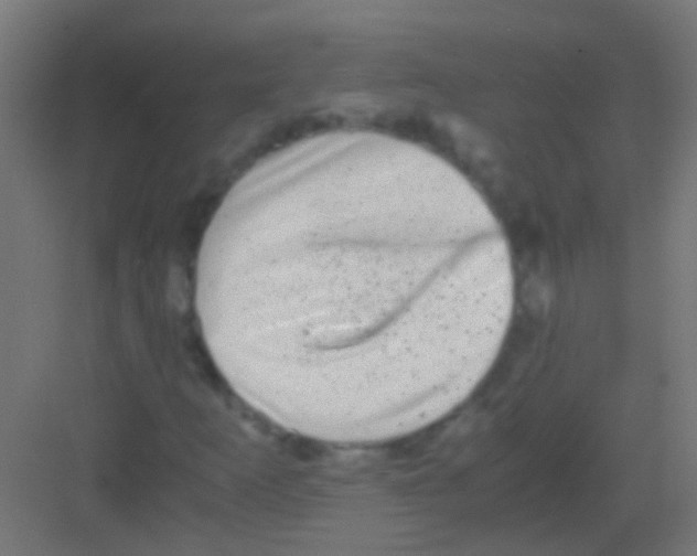 X0000081391253200702090029