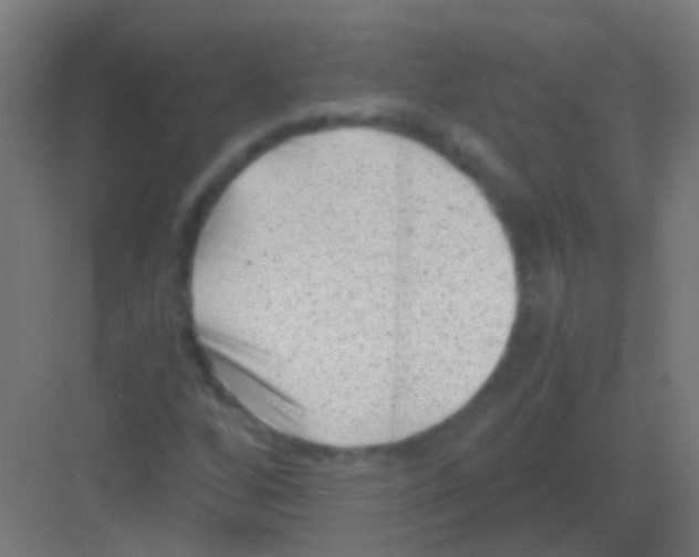 X0000081391256200702090029