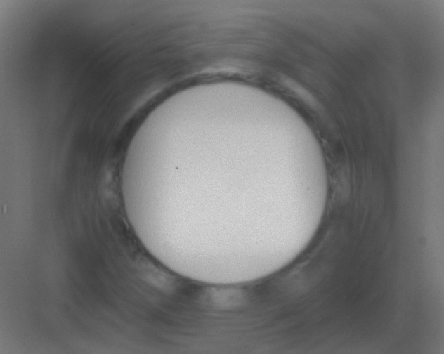 X0000081391258200702090029