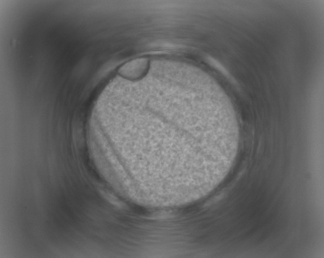 X0000081391259200702090029