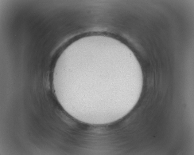 X0000081391262200702090029