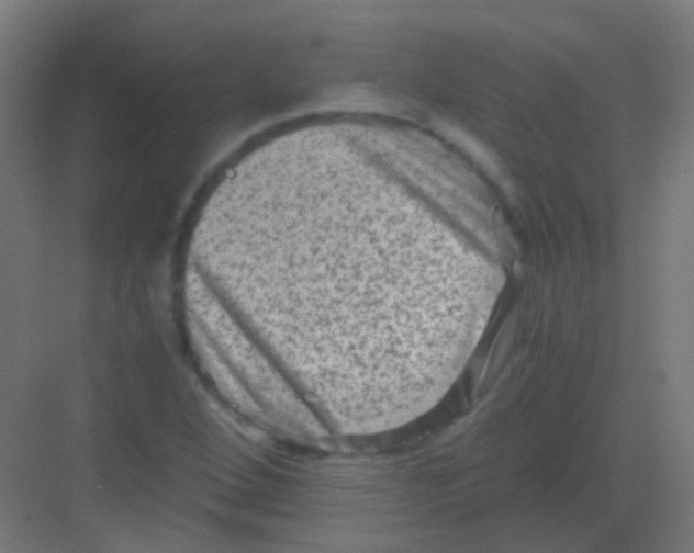 X0000081391264200702090029
