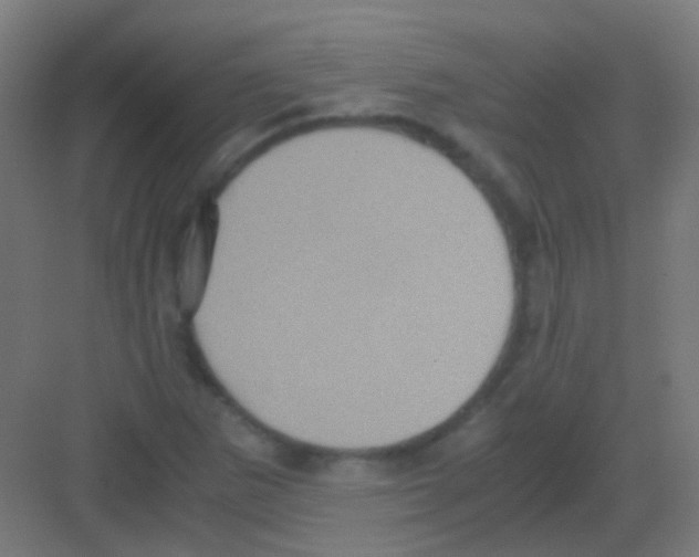 X0000081391265200702090029