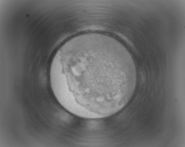 X0000081391266200702090028