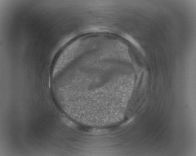 X0000081391269200702090028