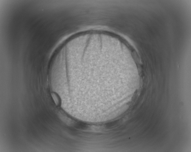 X0000081391271200702090028