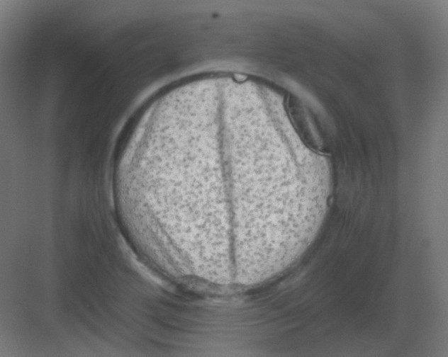 X0000081391272200702090028