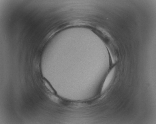 X0000081391273200702090028