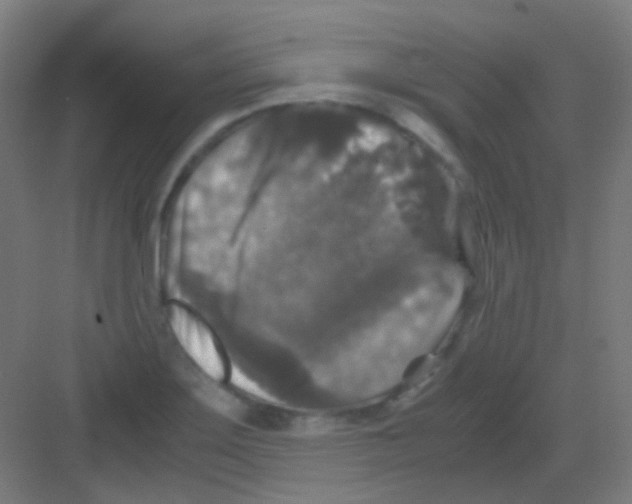 X0000081391275200702090028