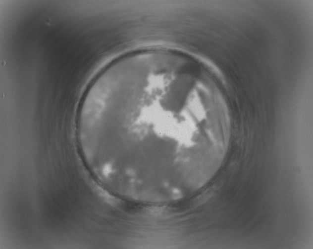 X0000081391279200702090028