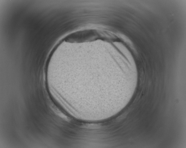 X0000081391280200702090028