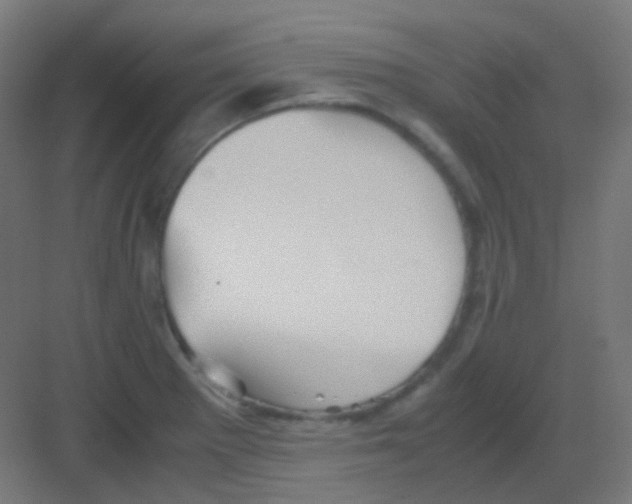 X0000081391281200702090028