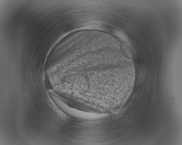 X0000081391284200702090028